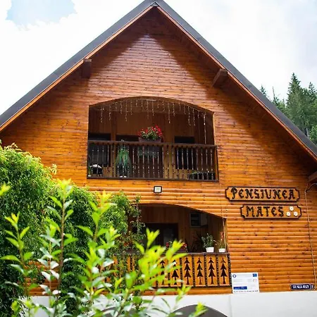 Pensiunea Mates Din Horea Guest house *