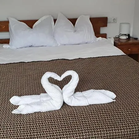 Guest house Pensiunea Mates Din Horea
